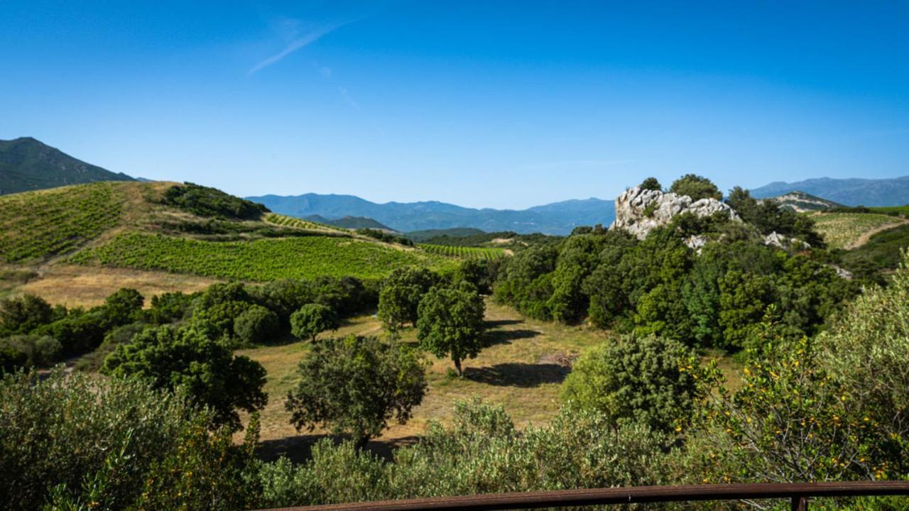 Villa Résidences Canta Furmigula Patrimonio
